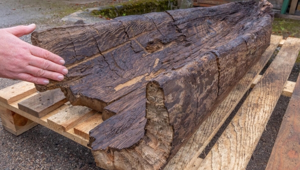 2000 aastat vana ühepuupaadi katkend toodi teisipäeval hetkeks huviliste silme alla. Loodetavasti saavad mõne aja möödudes kõik soovijad    eksponeerimiskõlblikuks töödeldud leidu näha muuseumis. Fotod: AIGAR NAGEL